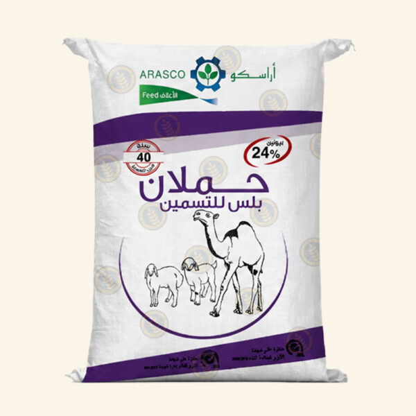 اراسكو حملان بلس ٢٤٪