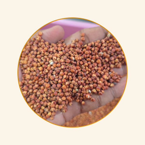 ذرة حمراء